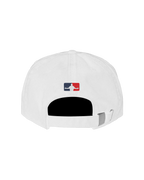 「大展鸿图」棒球帽 [预售30天内发货]