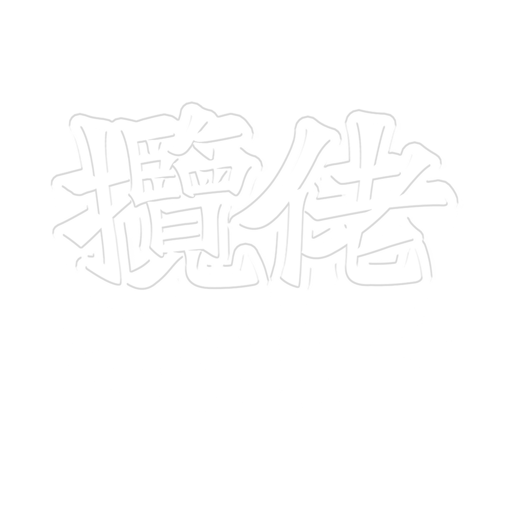 [预售30天内发货]揽佬北美巡演14站 长袖 上衣